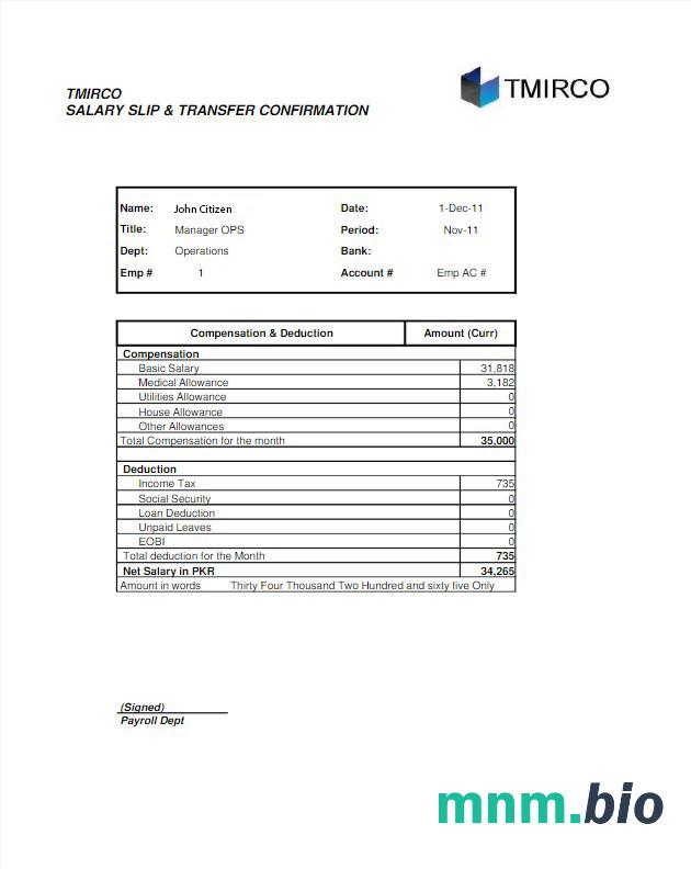 Pakistańska firma tmirco zarabiająca statemetn w formatach Word i PDF